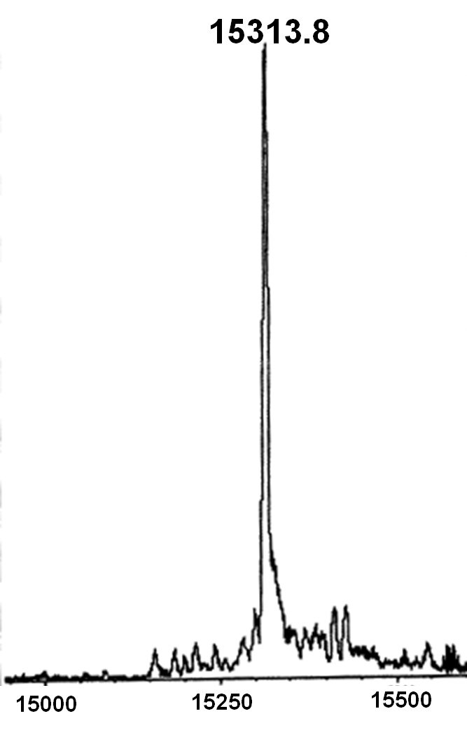 Mass Spec analysis for Recombinant Mononucleosomes H3K27ac - biotin. Synthetic H3K27ac protein was analyzed by ESI-TOF mass spectrometry. Expected mass = 15313.8 Da. Determined mass = 15313.8 Da.