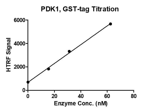 HTRF assay for Recombinant PDK1 protein, GST-Tag 1 uM STK S3 substrate was incubated with different concentrations of PDK1 protein in 10 ul reaction system containing 1×Enzymatic Buffer, 2 mM MgCl2, 1 mM DTT and 100 uM ATP for 1 hour. The detection reagents were added and incubated with the reactions for 1 hr. All the operations and reactions were performed at room temperature, and HTRF KinASE STK assay was used to detect the enzymatic activity.