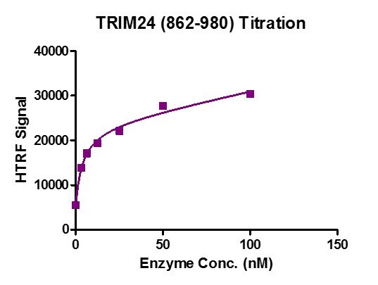 HTRF Assay for Recombinant TRIM24 (862-980) activity. 3 uM histone peptide H3K14ac was incubated with TRIM24 (862-980) protein in reaction buffer including 50 mM HEPES-NaOH pH 7.0, 0.1% BSA for 1 hour at room temperature. Anti-Flag antibody was used to detect reaction products. HTRF Assay for Recombinant TRIM24 (862-980) activity. 3 uM histone peptide H3K14ac was incubated with TRIM24 (862-980) protein in reaction buffer including 50 mM HEPES-NaOH pH 7.0, 0.1% BSA for 1 hour at room temperature. Anti-Flag antibody was used to detect reaction products.
