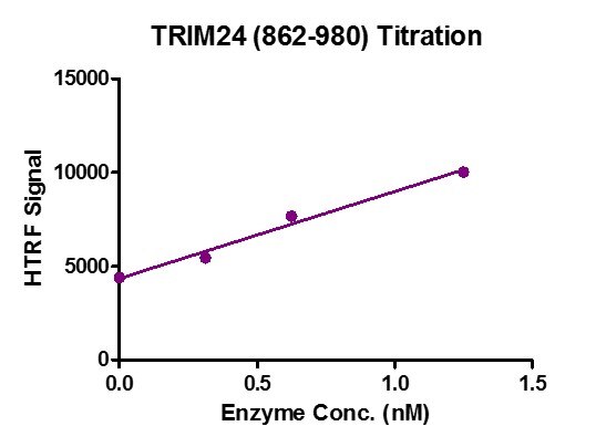 HTRF Assay for Recombinant TRIM24 (862-980) activity. 3 uM histone peptide H3K14ac was incubated with TRIM24 (862-980) protein in reaction buffer including 50 mM HEPES-NaOH pH 7.0, 0.1% BSA for 1 hour at room temperature. Anti-Flag antibody was used to detect reaction products. HTRF Assay for Recombinant TRIM24 (862-980) activity. 3 uM histone peptide H3K14ac was incubated with TRIM24 (862-980) protein in reaction buffer including 50 mM HEPES-NaOH pH 7.0, 0.1% BSA for 1 hour at room temperature. Anti-Flag antibody was used to detect reaction products.