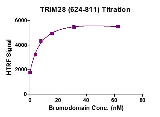 Recombinant TRIM28 (624-811) activity assay. 3.3 uM histone peptide H4K5/8/12/16 (4ac) was incubated with TRIM28 (624-811) in reaction buffer including 50 mM HEPES-NaOH pH 7.0, 0.1% BSA for 1 hour at room temperature. Anti-FLAG antibody was used to detect reaction products.