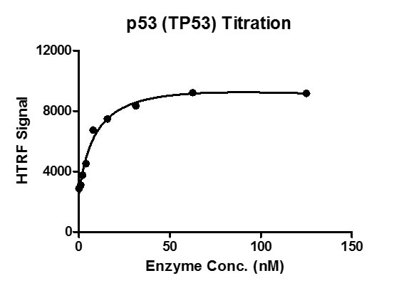 HTRF assay for p53 (TP53) activity 1 uM oligo ds DNA (sequence: 5’-CCGGACATGCCCGGGCATGT-3’) was incubated with BSA for 1 hour, then 10 ul FLAG antibody and SA-XL665 mixture (each 1:100 dilution in binding buffer) was added to each reaction system and incubated for 30 min. All the operations and reactions were performed at room temperature. HTRF assay was used for detection. HTRF assay for p53 (TP53) activity 1 uM oligo ds DNA (sequence: 5’-CCGGACATGCCCGGGCATGT-3’) was incubated with BSA for 1 hour, then 10 ul FLAG antibody and SA-XL665 mixture (each 1:100 dilution in binding buffer) was added to each reaction system and incubated for 30 min. All the operations and reactions were performed at room temperature. HTRF assay was used for detection.