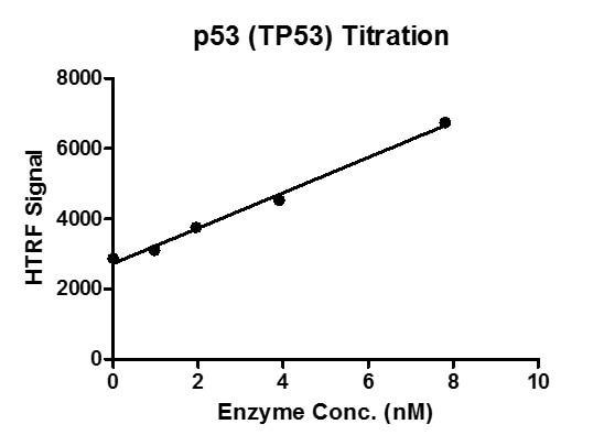 HTRF assay for p53 (TP53) activity 1 uM oligo ds DNA (sequence: 5’-CCGGACATGCCCGGGCATGT-3’) was incubated with BSA for 1 hour, then 10 ul FLAG antibody and SA-XL665 mixture (each 1:100 dilution in binding buffer) was added to each reaction system and incubated for 30 min. All the operations and reactions were performed at room temperature. HTRF assay was used for detection. HTRF assay for p53 (TP53) activity 1 uM oligo ds DNA (sequence: 5’-CCGGACATGCCCGGGCATGT-3’) was incubated with BSA for 1 hour, then 10 ul FLAG antibody and SA-XL665 mixture (each 1:100 dilution in binding buffer) was added to each reaction system and incubated for 30 min. All the operations and reactions were performed at room temperature. HTRF assay was used for detection.