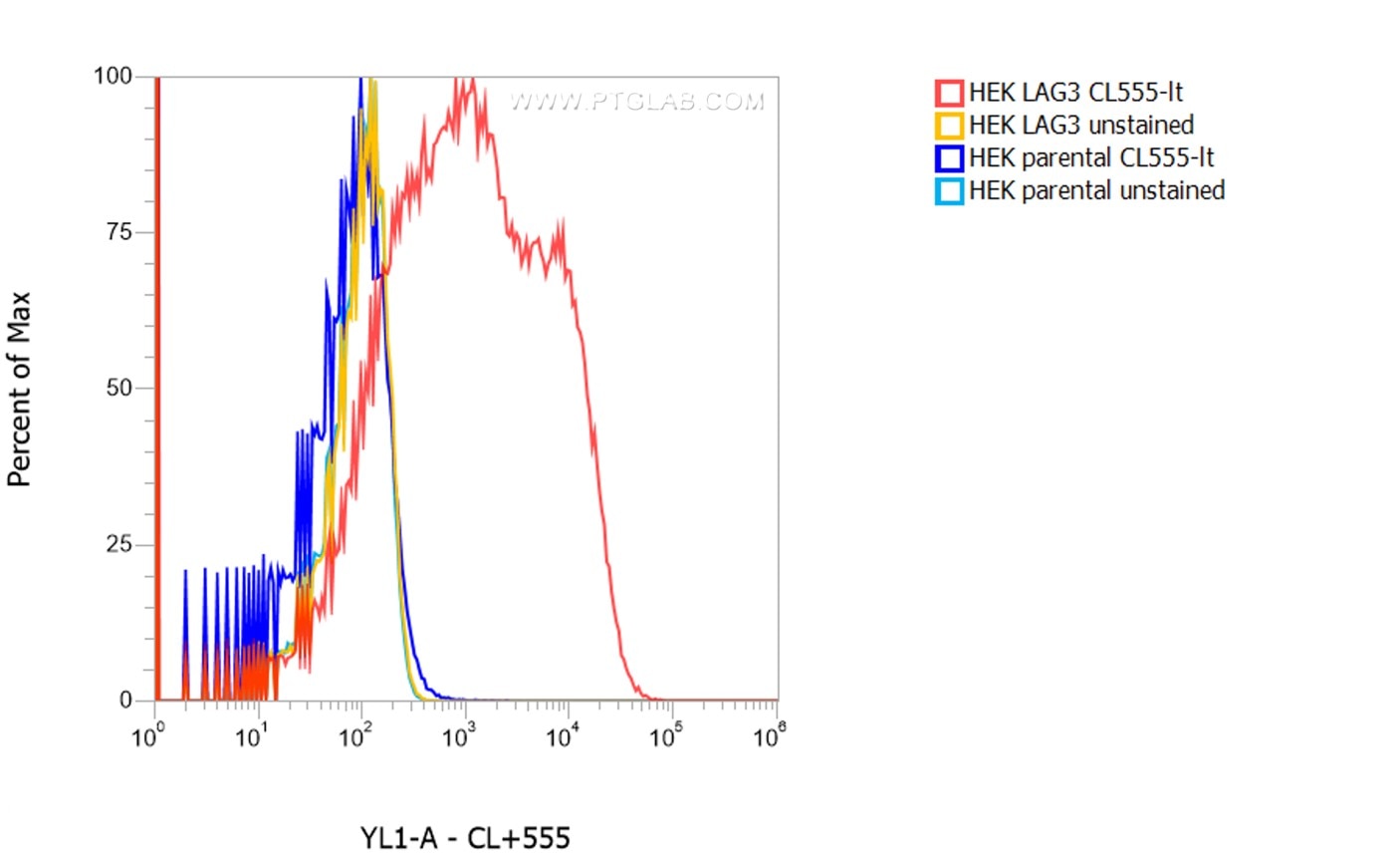 1X10^6 HEK LAG3 transient transfected cells (red) and HEK parental cells were surface stained with 0.25 µg CoraLite® Plus 555 conjugated-LAG3 VHH (CL555-lt). Cells were not fixed.