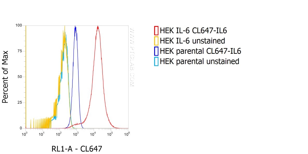 1X10^6 HEK IL-6 stable expressing cells (red) and HEK parental cells (blue) were intracellularly stained with 0.25 µg anti-IL6 recombinant VHH, CoraLite® Plus 647 (CL647-IL6). 
Cells were treated with Brefeldin A and Monensin for 6 h before fixation.