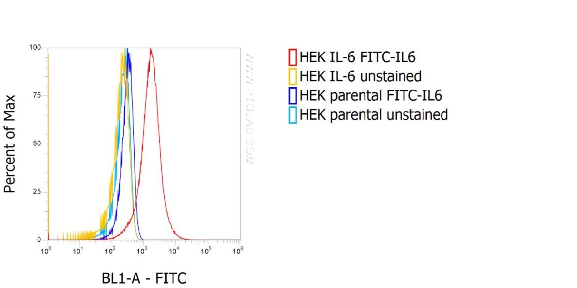 1X10^6 HEK IL-6 stable expressing cells (red) and HEK parental cells (blue) were intracellularly stained with 0.25 µg anti-IL6 recombinant VHH, FITC Plus (FITC-IL6). 
Cells were treated with Brefeldin A and Monensin for 6 h before fixation.