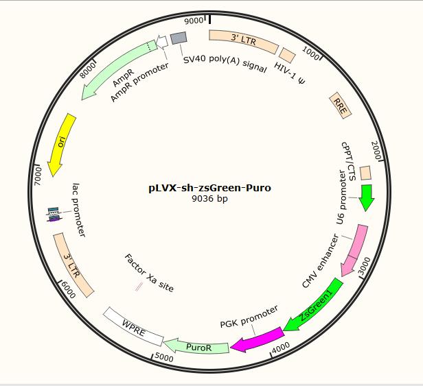 Carrier map Carrier map