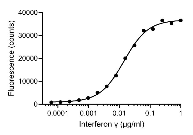 ELISA analysis of the capture of varying concentrations of HumanKine Interferon γ (HZ-1301) by biotinylated anti-INFg VHH (IFNgNHS). Detection via rabbit polyclonal PTG 15365-1-AP.