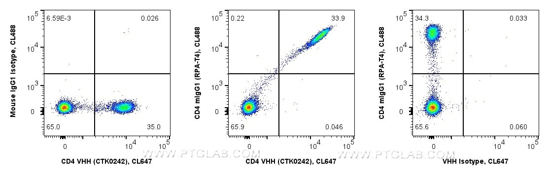 <b>Human PBMCs competitively co-stained with anti-CD4 recombinant VHH and anti-CD4 RPA-T4 in Flow Cytometry</b>
<br/>1x10^6 human PBMCs were surface co-stained in 100 µL with 0.25 µg anti-CD4 recombinant VHH, CoraLite® Plus 647 (MG-1229CL647, Clone: CTK0242) mixed with 5 µL Anti-Human CD4, CoraLite® Plus 488 (CL488-65143, Clone: RPA-T4) (middle). As controls 0.25 µg VHH were co-stained with 0.25 µg Mouse IgG1, κ Isotype Control, CoraLite® Plus 488 (CL488-98742-2, Clone: MOPC-21) (left), and 5 µL RPA-T4 were co-stained with 0.25 µg recombinant VHH Isotype Control, CoraLite® Plus 647 (Clone: CTK0201, right). Fc-receptors were blocked. Viability Dye (PD00002) was used. Cells were not fixed. Viable lymphocytes were gated. 
Anti-Human CD4 recombinant VHH effectively co-stains the same CD4+ population as the conventional Anti-Human CD4 clone RPA-T4 (mIgG1). Close proximity of different VHH and IgG epitopes on identical CD4 molecules likely causes a CL488 to CL647 FRET effect, observable by an increased signal intensity of the CD4 VHH-positive stained cells co-stained with RPA-T4 compared to the CD4 VHH-positive stained cells co-stained with the mIgG1 Isotype Control.