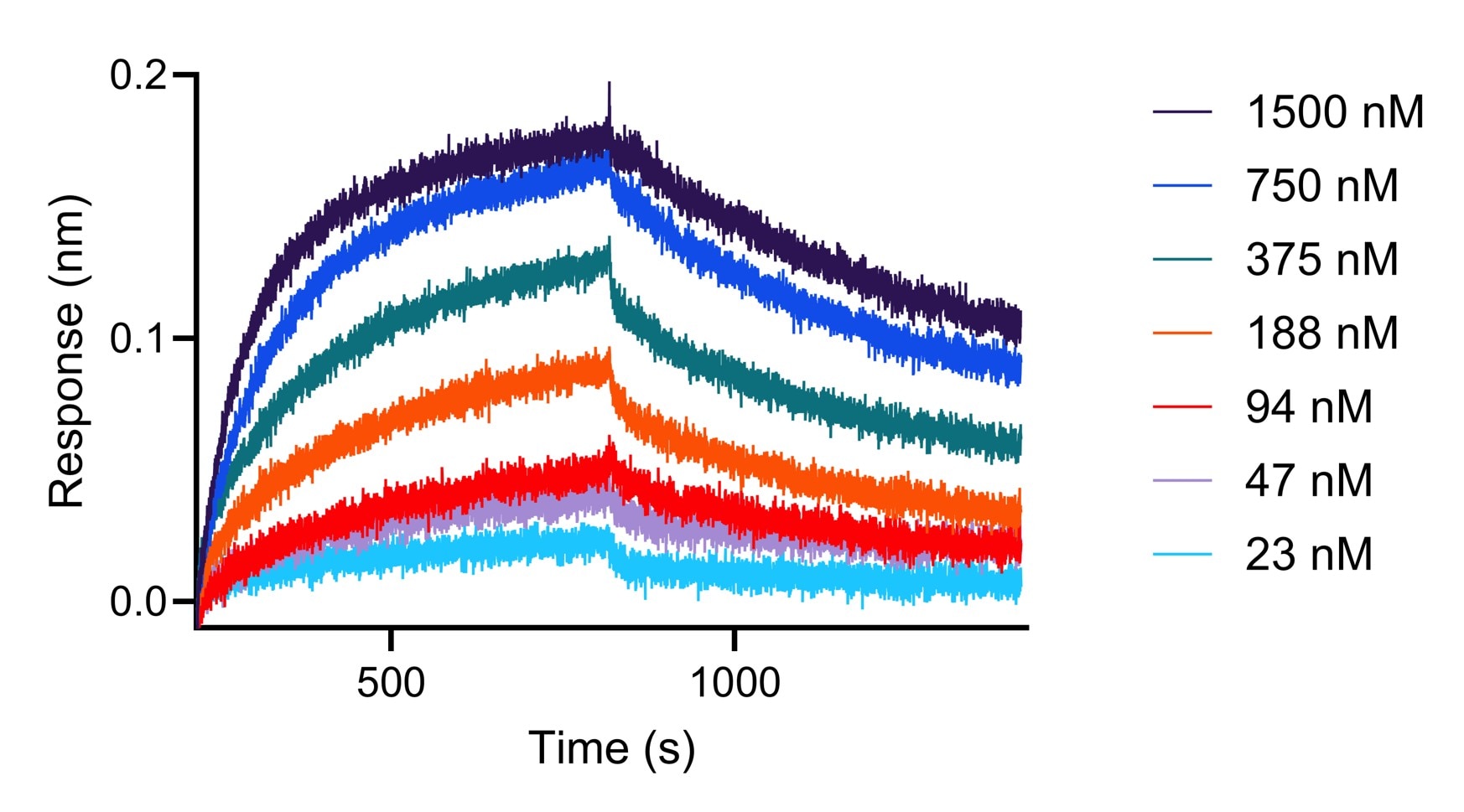 <b>Affinity Data</b><br/>
BLI analysis of the interaction between varying concentrations of anti-CD33 recombinant VHH (MG-1230CC, Clone: CTK0243) and immobilized, biotinylated CD33 protein. <b>Affinity Data</b><br/>
BLI analysis of the interaction between varying concentrations of anti-CD33 recombinant VHH (MG-1230CC, Clone: CTK0243) and immobilized, biotinylated CD33 protein.