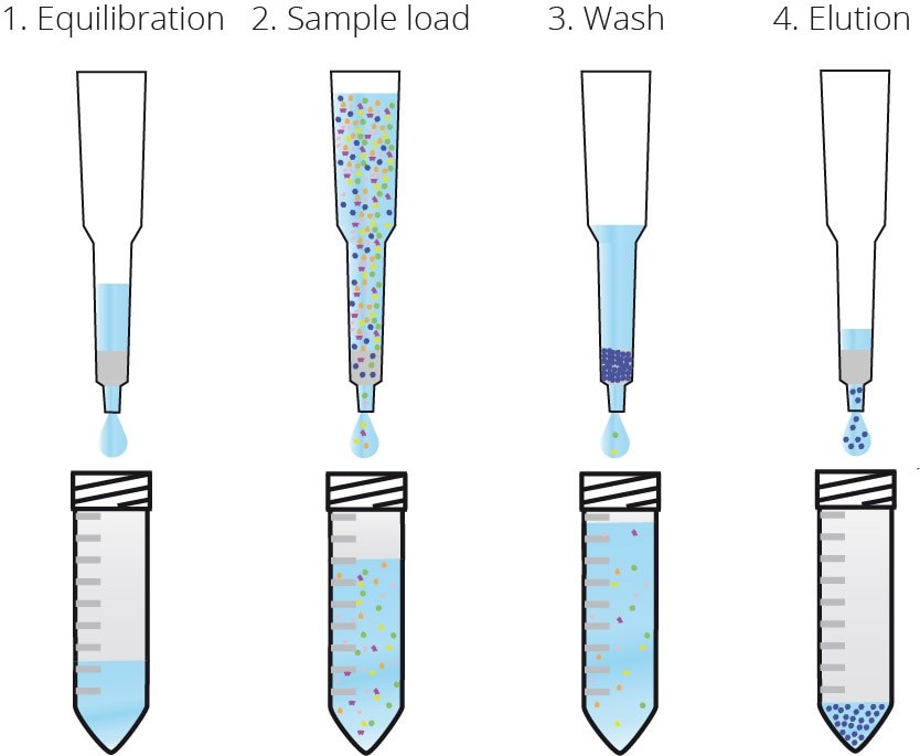 Workflow of Spot-Cap purification.