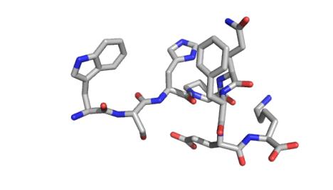 Structure of SAWSHPQFEK epitope (also know as Strep-Tag®)