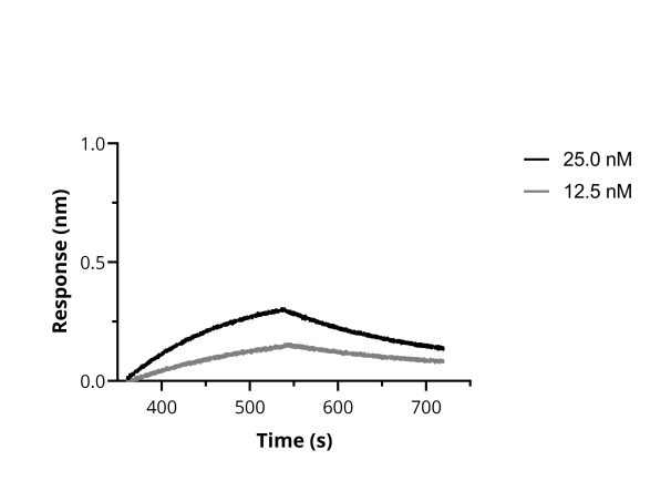 BLI binding kinetics of SARS-CoV-2 Spike Recombinant VHH [NM1221] to RBD. Biotinylated RBD was immobilized on FortéBio Streptavidin (SA) Biosensors and assayed with different concentrations of SARS-CoV-2 Spike Recombinant VHH [NM1221] (ChromoTek sc-NM1221).