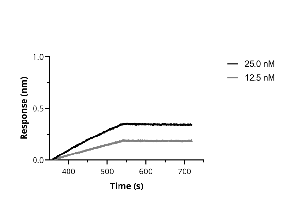 BLI binding kinetics of SARS-CoV-2 Spike Recombinant VHH [NM1223] to RBD. Biotinylated RBD was immobilized on FortéBio Streptavidin (SA) Biosensors and assayed with different concentrations of SARS-CoV-2 Spike Recombinant VHH [NM1223] (ChromoTek sc-NM1223).