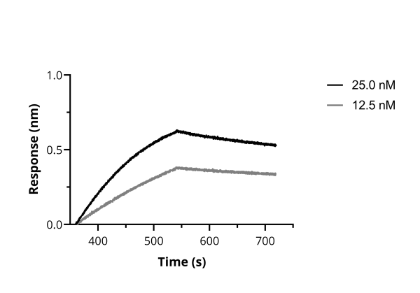 BLI binding kinetics of SARS-CoV-2 Spike Recombinant VHH [NM1227] to RBD. Biotinylated RBD was immobilized on FortéBio Streptavidin (SA) Biosensors and assayed with different concentrations of SARS-CoV-2 Spike Recombinant VHH [NM1227] (ChromoTek sc-NM1227).