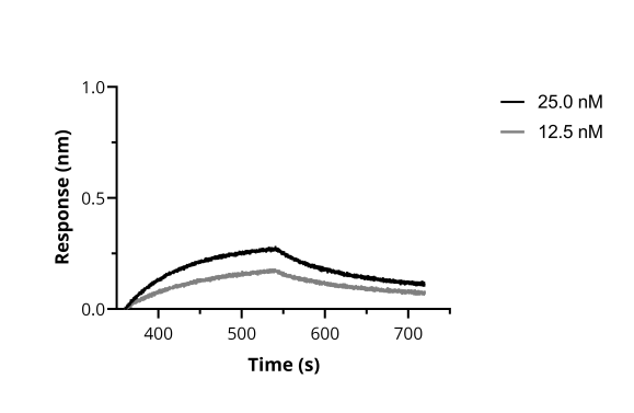 BLI binding kinetics of SARS-CoV-2 Spike Recombinant VHH [NM1229] to RBD. Biotinylated RBD was immobilized on FortéBio Streptavidin (SA) Biosensors and assayed with different concentrations of SARS-CoV-2 Spike Recombinant VHH [NM1229] (ChromoTek sc-NM1229).