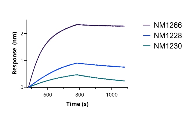 BLI binding kinetics of SARS-CoV-2 Spike Recombinant VHH [NM1266] to RBD. Biotinylated RBD was immobilized on FortéBio Streptavidin (SA) Biosensors and assayed with 25 nM of SARS- CoV-2 Spike Recombinant VHH [NM1266] (ChromoTek sc-NM1266). For comparison the binding kinetics of 25 nM SARS-CoV-2 Spike Recombinant VHH [NM1228] (ChromoTek sc- NM1228) and SARS-CoV-2 Spike Recombinant VHH [NM1230] (ChromoTek sc-NM1230) are shown.