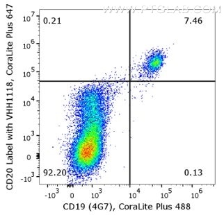 Flow cytometry analysis of 1X10^6 human peripheral blood mononuclear cells (PBMCs) stained with anti-human CD20 ( Rituximab biosimilar) and Nano-Secondary® alpaca anti-human IgG, recombinant VHH, CoraLite® Plus 647 [CTK0117) (shuGCL647-2). Cells were co-stained with CoraLite® Plus 488 conjugated anti-human CD19 antibody.