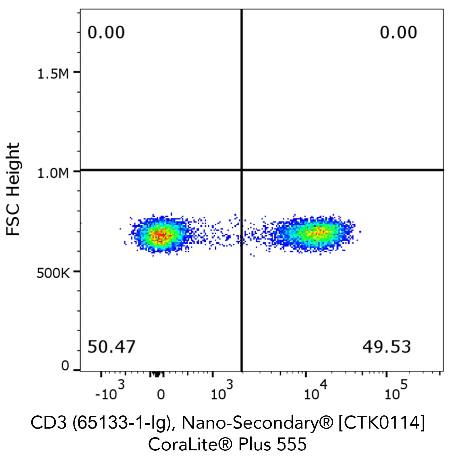 Flow cytometry analysis of 1X10^6 human peripheral blood mononuclear cells (PBMCs) stained with anti-human CD3 (clone OKT3, 65133-1-Ig) and Nano-Secondary® alpaca anti-mouse IgG2a, recombinant VHH, CoraLite® Plus 555.