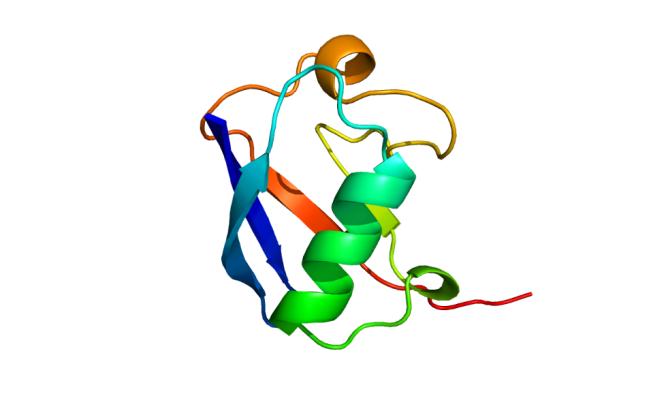 Structure of Ubiquitin VHH
