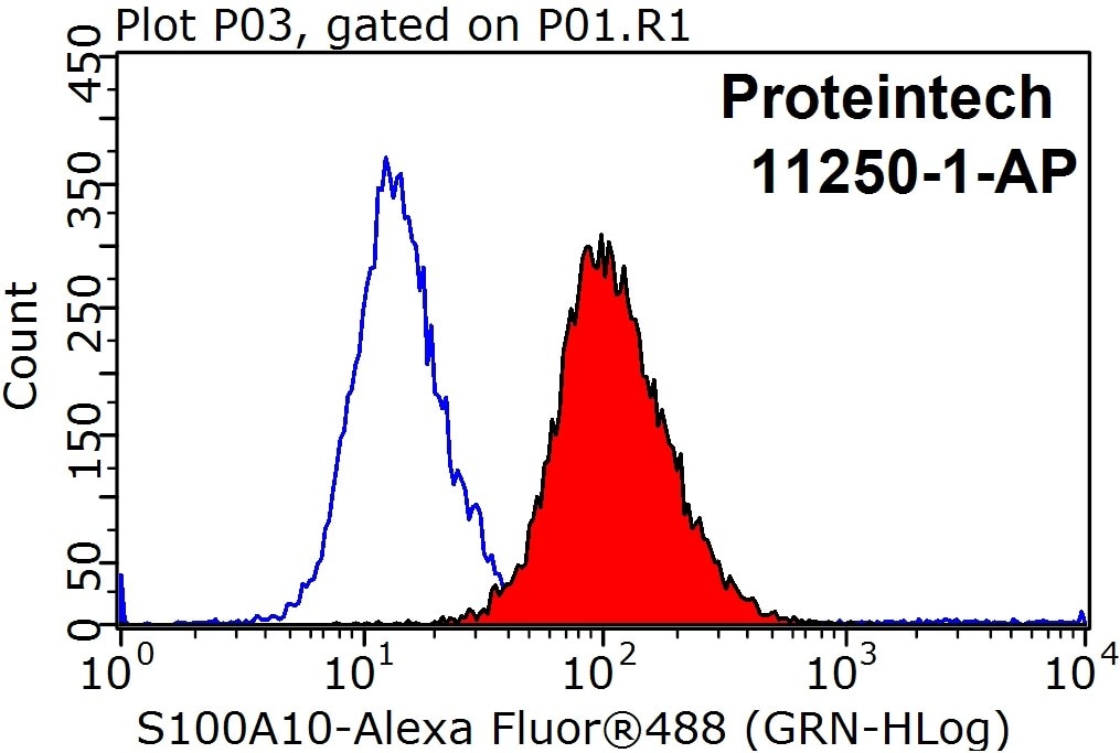 S100A10