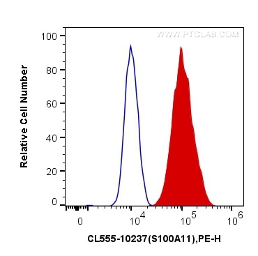 Flow cytometry (FC) experiment of PC-3 cells using CoraLite®555-conjugated S100A11 Polyclonal antibod (CL555-10237)