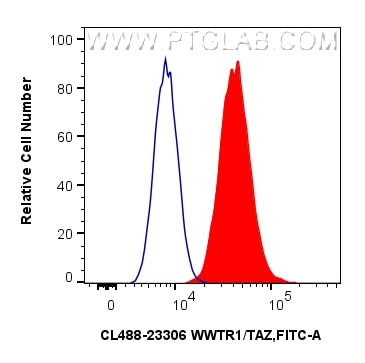 Flow cytometry (FC) experiment of HeLa cells using CoraLite® Plus 488-conjugated S100A4 Polyclonal an (CL488-16105)