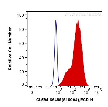 Flow cytometry (FC) experiment of HeLa cells using CoraLite®594-conjugated S100A4 Monoclonal antibody (CL594-66489)