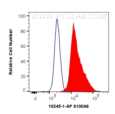 Flow cytometry (FC) experiment of MCF-7 cells using S100A6 Polyclonal antibody (10245-1-AP)