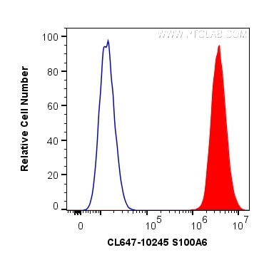 Flow cytometry (FC) experiment of HeLa cells using CoraLite® Plus 647-conjugated S100A6 Polyclonal an (CL647-10245)