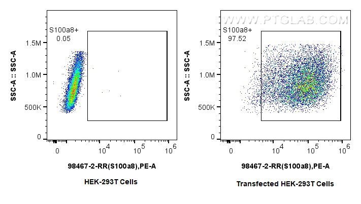 Flow cytometry (FC) experiment of Transfected HEK-293T cells using Anti-Mouse S100A8 Rabbit Recombinant Antibody (98467-2-RR)