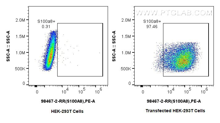 FC experiment of Transfected HEK-293T using 98467-2-RR Flow cytometry (FC) experiment of Transfected HEK-293T cells using Anti-Mouse S100A8 Rabbit Recombinant Antibody (98467-2-RR)