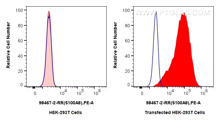 FC experiment of Transfected HEK-293T using 98467-2-RR Flow cytometry (FC) experiment of Transfected HEK-293T cells using Anti-Mouse S100A8 Rabbit Recombinant Antibody (98467-2-RR)