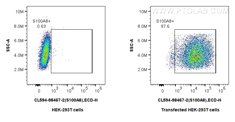 Flow cytometry (FC) experiment of Transfected HEK-293T cells using CoraLite®594 Anti-Mouse S100A8 Rabbit Recombinant  (CL594-98467-2)