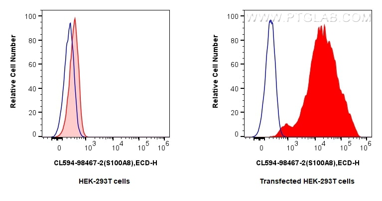Flow cytometry (FC) experiment of Transfected HEK-293T cells using CoraLite®594 Anti-Mouse S100A8 Rabbit Recombinant  (CL594-98467-2)