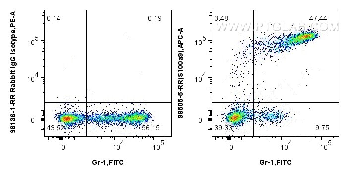 1x10^6 C57BL/6 bone marrow cells were intracellularly stained with 0.25 ug Anti-Mouse S100a9 Rabbit RecAb (98505-5-RR, Clone:250759F10), or 0.25 ug Rabbit IgG Isotype Control RecAb (98136-1-RR, Clone: 240953C9) and CoraLite647-conjugated F(ab')2 Fragment Donkey Anti-Rabbit IgG (H+L) (SA00014-7). Cells were then stained with FITC Plus Anti-Mouse Ly-6G/Ly-6C (Gr-1). Cells were fixed and permeabilized with Intracellular Flow Cytometry Fixation & Permeabilization Buffer Kit (PF00019). Flow cytometry (FC) experiment of C57BL/6 bone marrow cells using Anti-Mouse S100A9 Rabbit Recombinant Antibody (98505-5-RR)