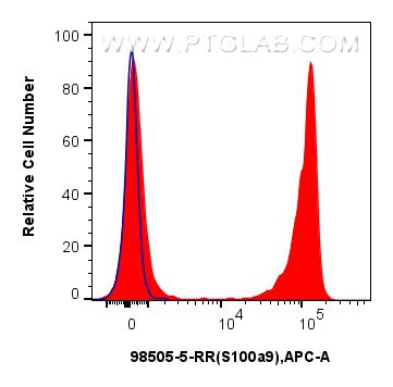 1x10^6 C57BL/6 bone marrow cells were intracellularly stained with 0.25 ug Anti-Mouse S100a9 Rabbit RecAb (98505-5-RR, Clone:250759F10)(red), or 0.25 ug Rabbit IgG Isotype Control RecAb (98136-1-RR, Clone: 240953C9)(blue) and CoraLite647-conjugated F(ab')2 Fragment Donkey Anti-Rabbit IgG (H+L) (SA00014-7). Cells were fixed and permeabilized with Intracellular Flow Cytometry Fixation & Permeabilization Buffer Kit (PF00019). Flow cytometry (FC) experiment of C57BL/6 bone marrow cells using Anti-Mouse S100A9 Rabbit Recombinant Antibody (98505-5-RR)