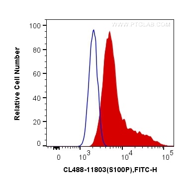 FC experiment of HeLa using CL488-11803