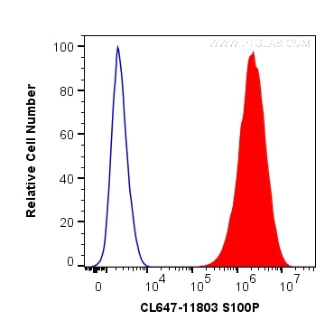 Flow cytometry (FC) experiment of HeLa cells using CoraLite® Plus 647-conjugated S100P Polyclonal ant (CL647-11803)