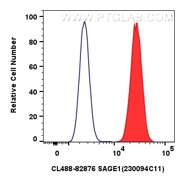 Flow cytometry (FC) experiment of U2OS cells using CoraLite® Plus 488-conjugated SAGE1 Recombinant an (CL488-82876)