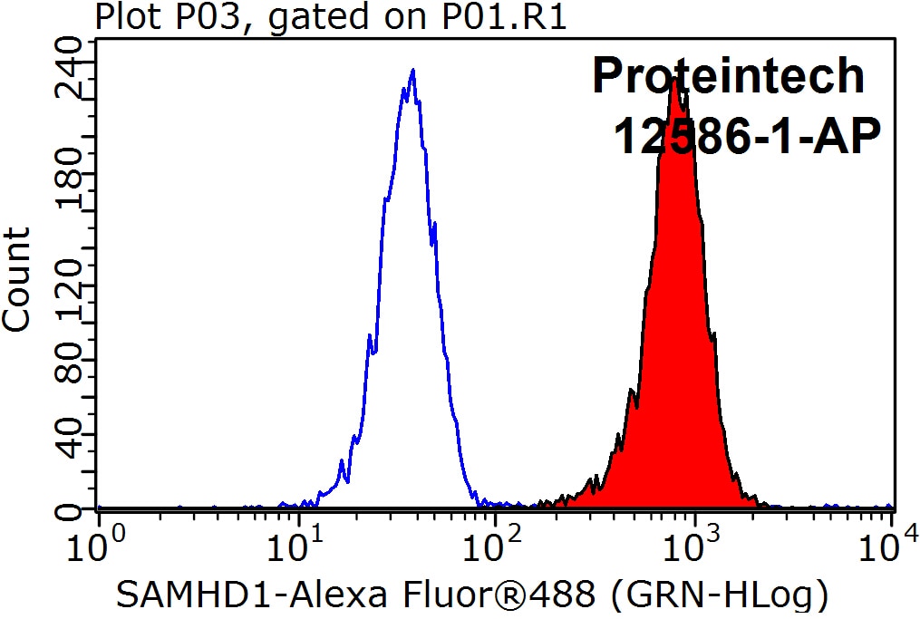 Flow cytometry (FC) experiment of K-562 cells using SAMHD1 Polyclonal antibody (12586-1-AP)