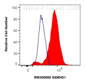 FC experiment of K-562 using RMX00060 Flow cytometry (FC) experiment of K-562 cells using Multi-rAb® SAMHD1 Multi-Recombinant antibody (RMX00060)