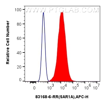 Flow cytometry (FC) experiment of A431 cells using SAR1A Recombinant antibody (83168-6-RR)