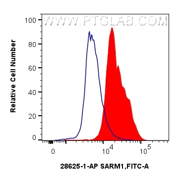 Flow cytometry (FC) experiment of SH-SY5Y cells using SARM1 Polyclonal antibody (28625-1-AP)