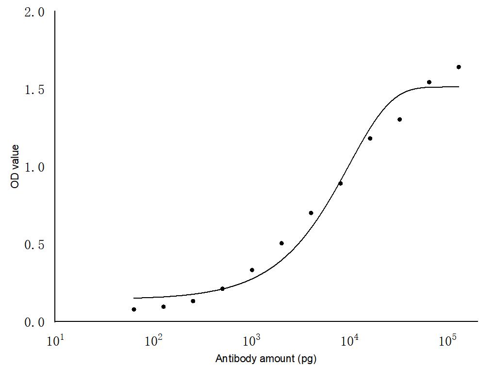 ELISA experiment of Recombinant protein using SARS-COV-2 NSP12 Polyclonal antibody (29264-1-AP)