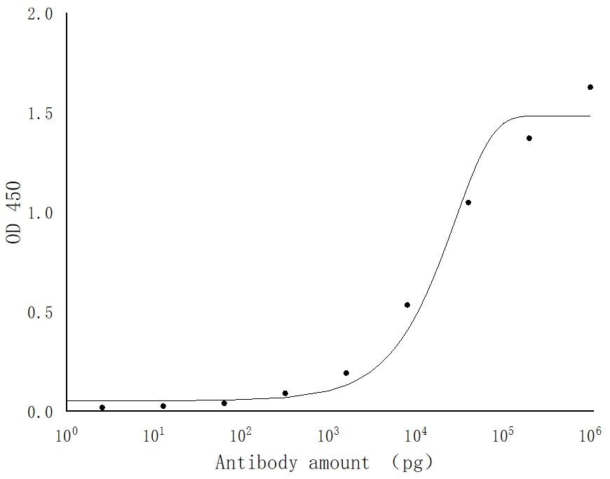 ELISA experiment using 29263-1-AP