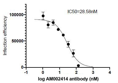 Neutralization experiment of SARS-CoV-2 Spike using SARS-CoV-2 Spike Recombinant antibody (91349-PTG)