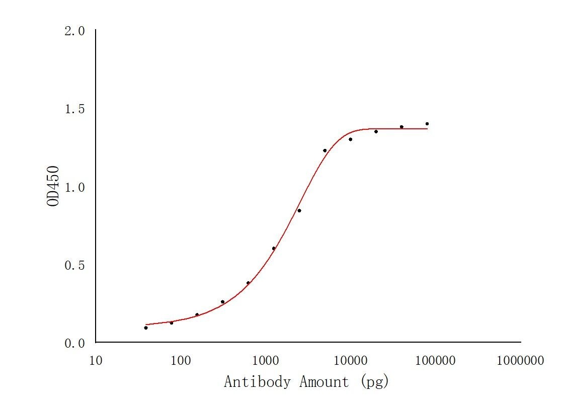 ELISA experiment of Recombinant protein using SARS-CoV-2 S protein (319-541 aa) Polyclonal antib (28991-1-AP)