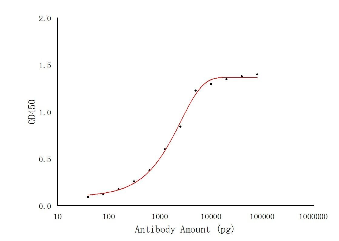 SARS-CoV-2 S protein (319-541 aa)