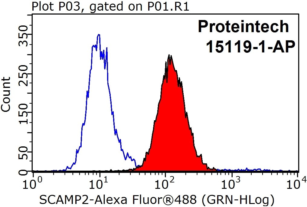 Flow cytometry (FC) experiment of HEK-293 cells using SCAMP2 Polyclonal antibody (15119-1-AP)